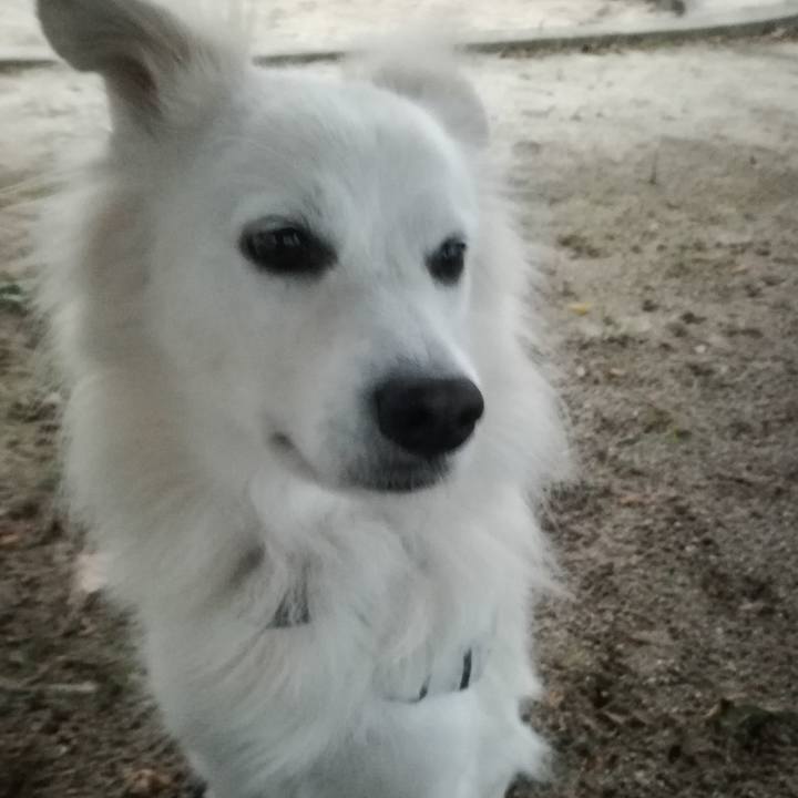 8c7f8622 acb6 452a bee5 2e1b4b4e49f5 1508320244021