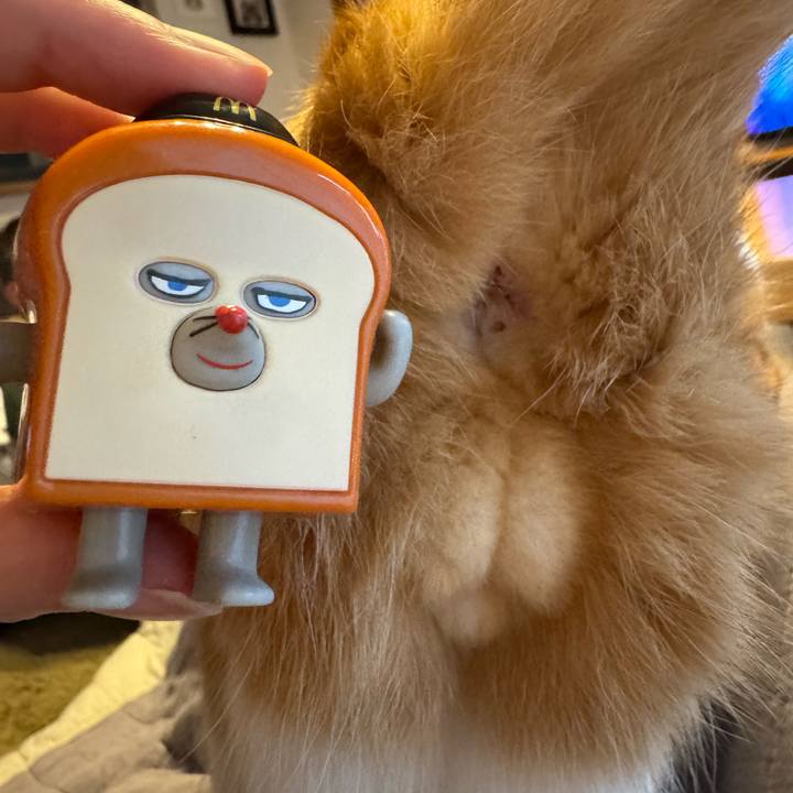 8c7f8959 a667 41d6 9d19 4f73e8088cdd 1761983462973