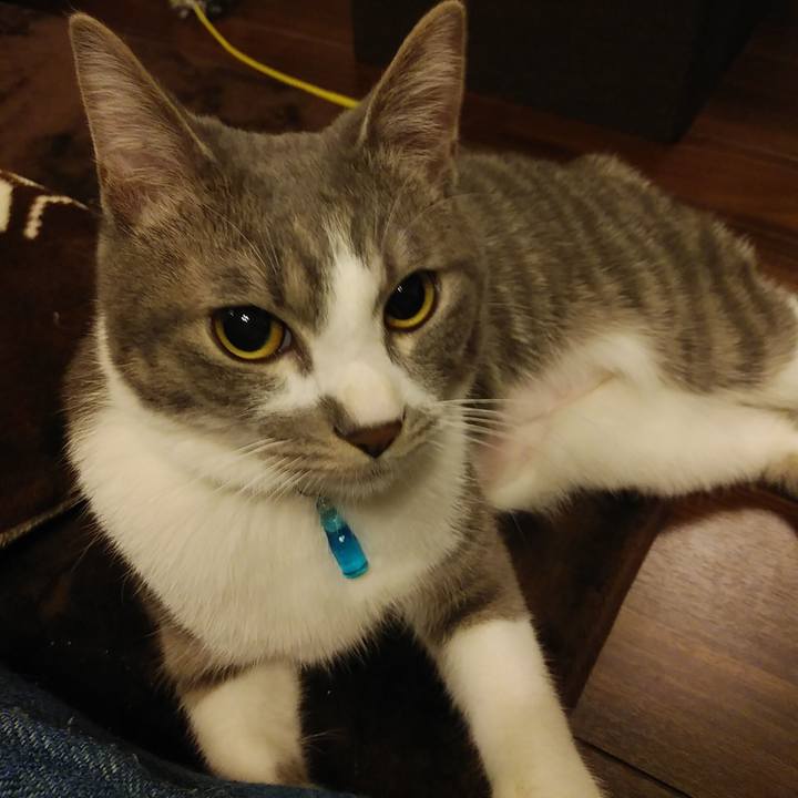 8c7f8b94 539f 416a b8d0 ca89133e23cf 1585578319353