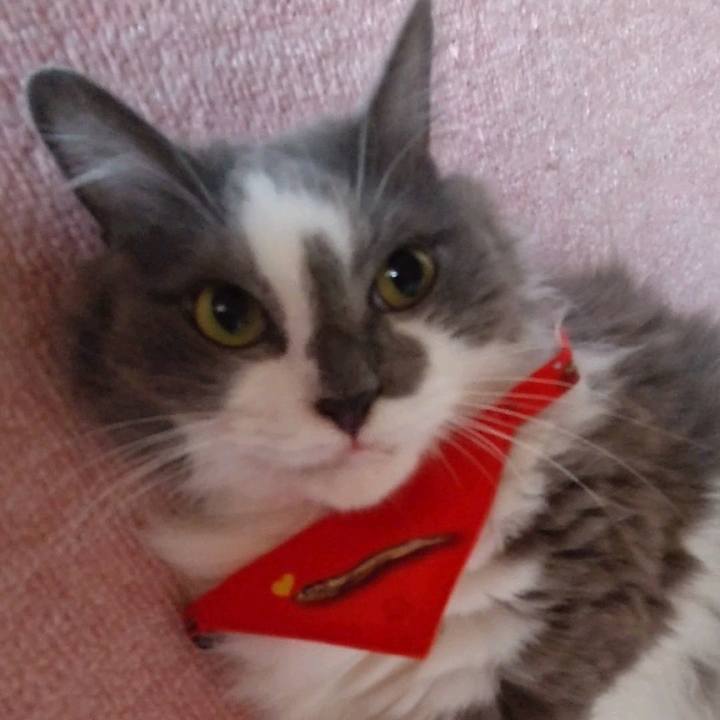 8c7fa9c8 12e4 4a43 9bf3 0fadbd03b56b 1692158638956