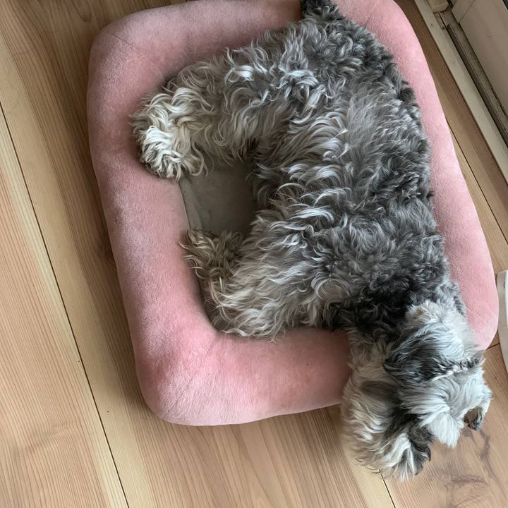 8c7fb3da 64ae 48d4 9d0c c413fa561f88 1652932340261