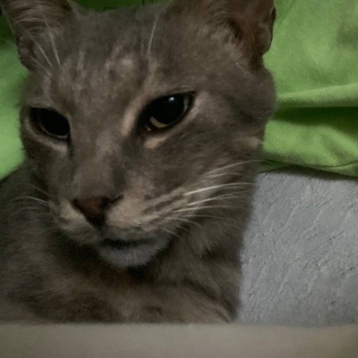 8c7fbd6d 3f49 4405 b07f 9961f5273742 1570845562596