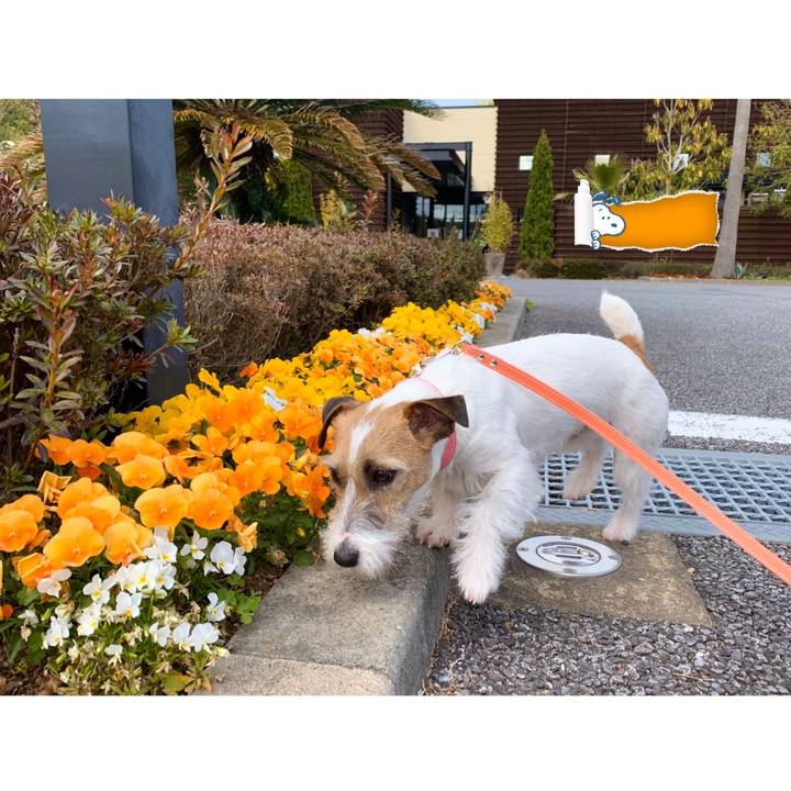 8c807104 5c04 4c89 b76b 77d40e199729 1587713946799