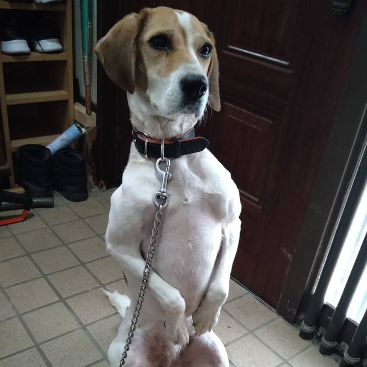 8c8098a5 7920 46dc 8001 bfc5c3fce619 1636605549234