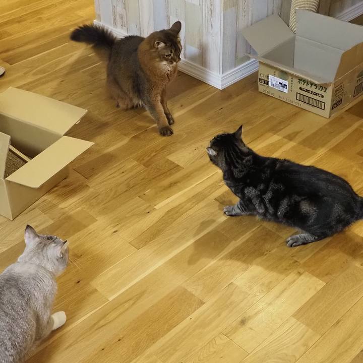 8c80b814 3cee 453f a045 5b44c86c3611 1668656597732