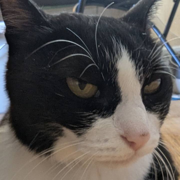 8c80de17 f971 4285 8355 6c41c5c5f653 1753936247017