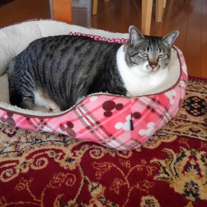 8c8112fa 2445 44b8 a4bb 2d28f4ab3a19 1518220256010