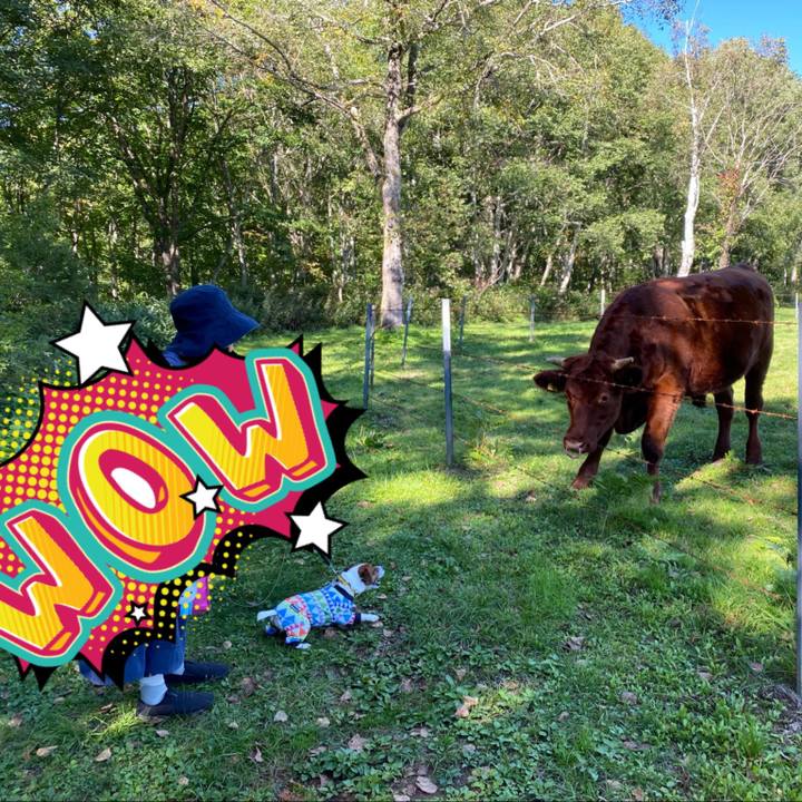 8c81a935 6007 48b1 b249 d9b548906c70 1633084943129