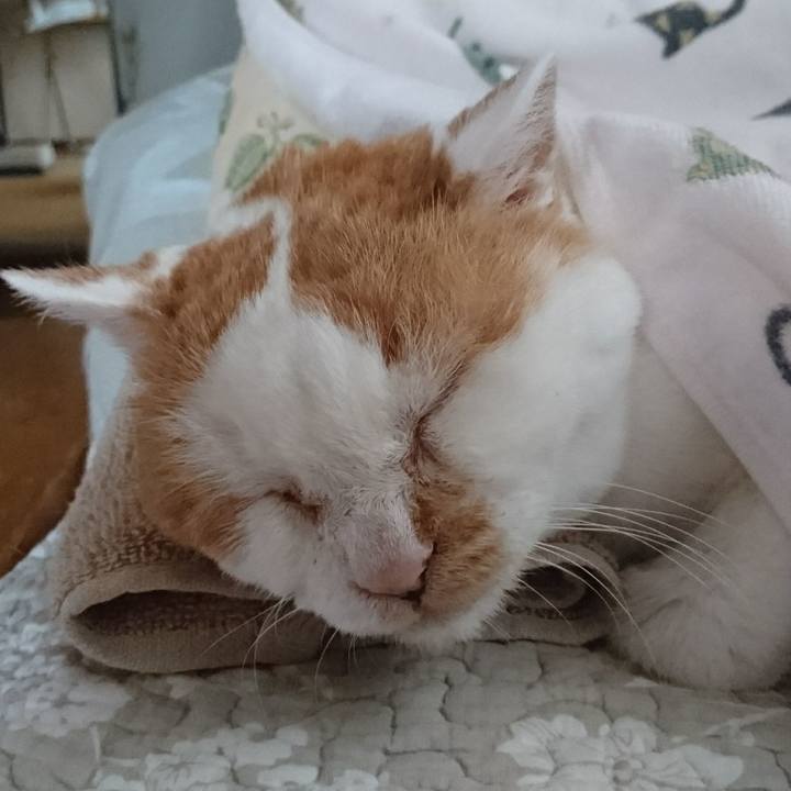 8c81c556 b2b3 4559 9893 2e8299e19d66 1566335781518