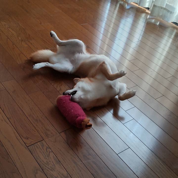 8c81ef30 239f 4941 ac66 8d0492d5fe52 1661908701409