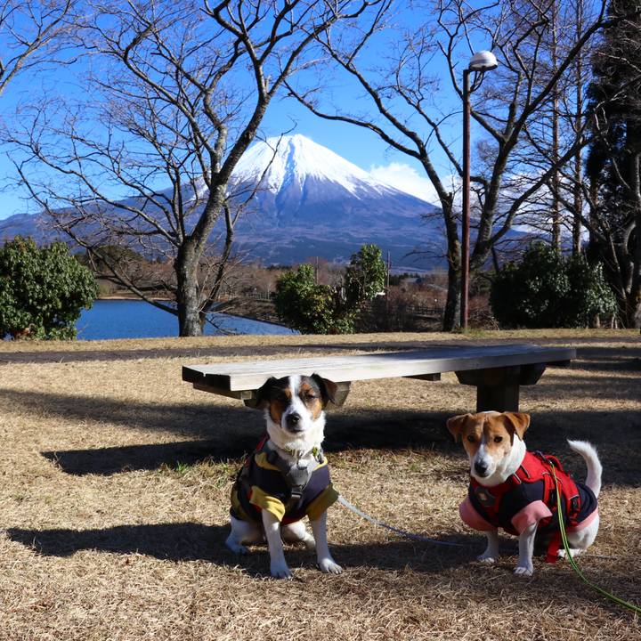 8c8204de b8cc 4213 81bd 8b68fd38b475 1545631990589