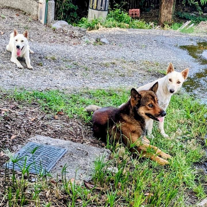 8c821a27 1f3b 4f36 ae32 89bf23281078 1758013697815