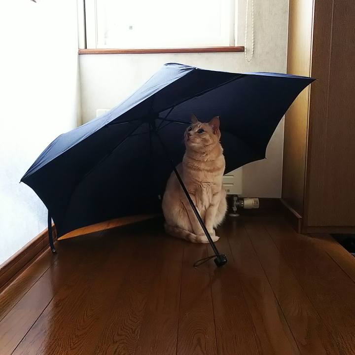 8c821b46 bf95 4a1b 9ae3 a5a284ed516c 1653687881026