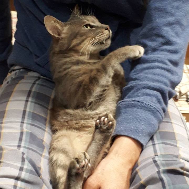 8c82d716 41ff 40fc 8664 6373d3d2153e 1571489958475