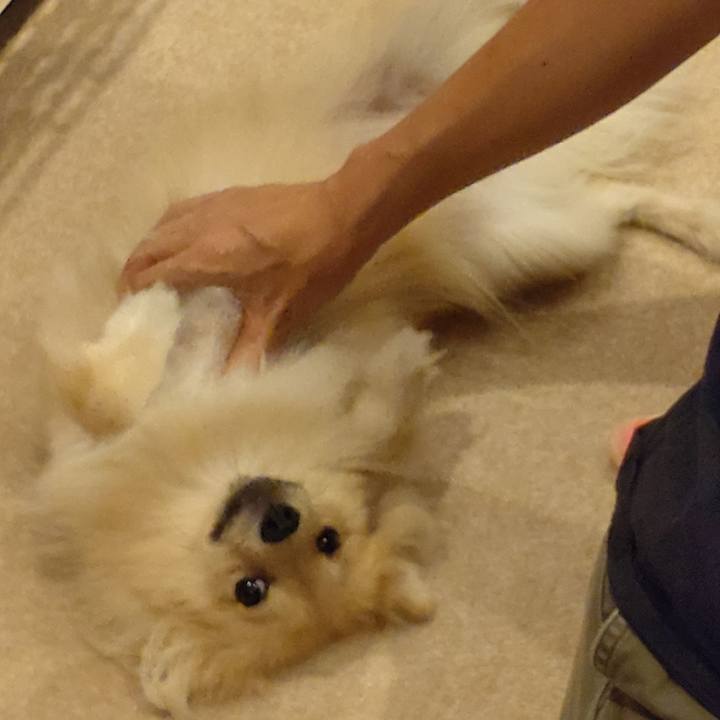 8c830f3c a0cd 469e b7ee ebde40d67abe 1752129849400