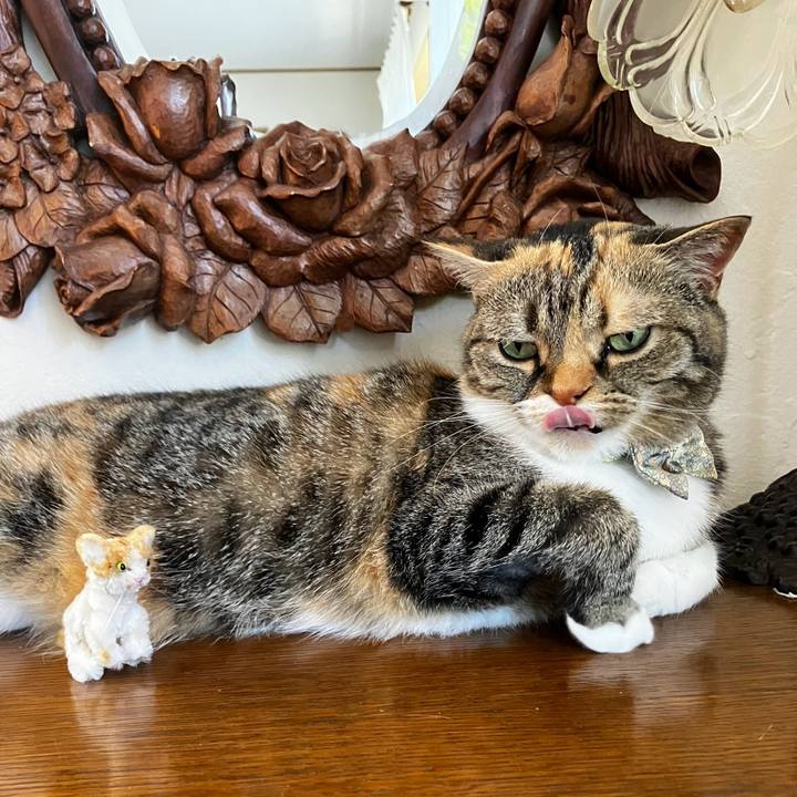 8c834542 786c 4d12 966b ad1deaab1bcc 1775468458397