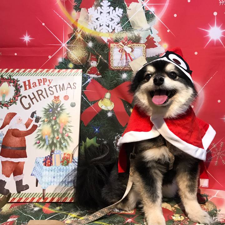 8c834f2b 0c35 4f29 901e 4045a2b67287 1577284379909