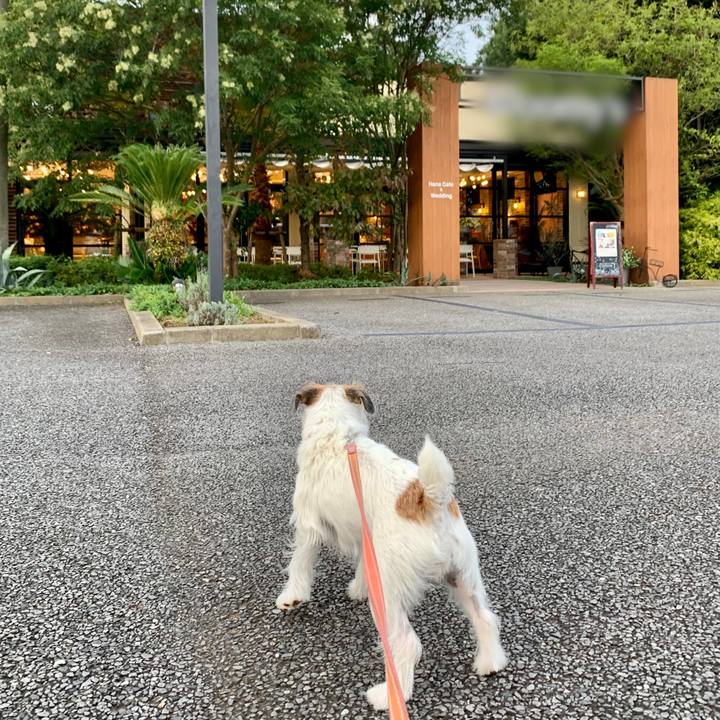 8c83759f bbae 47e2 b949 4ed59c011518 1665486832415