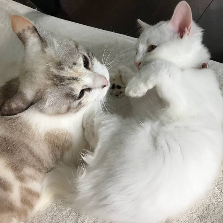 8c838775 6d95 4a55 b93a efdc6233c2e5 1533989964522