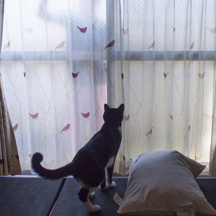 8c83a79a 6f9c 4485 810b 71a16c851c54 1533453617465