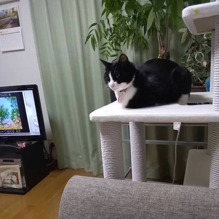 8c83ba23 3946 47b0 9bca 1a2b09ea0496 1552228919676