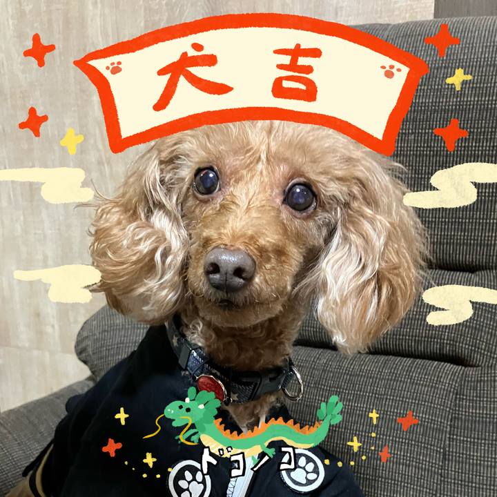 8c840a1e 9604 4425 b171 5449f45d9e12 1704270566490