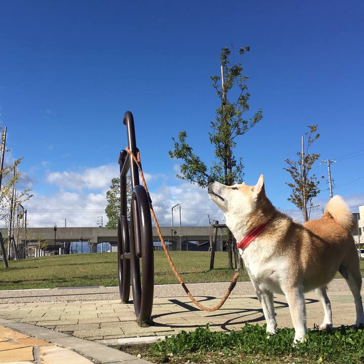 8c848313 999b 4998 8b8e 9e2dcca54428 1508764571169