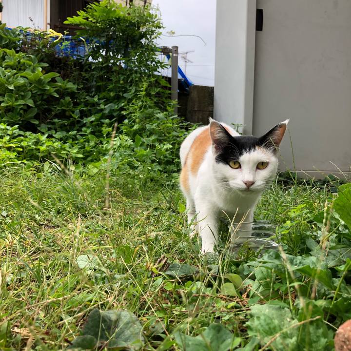 8c84ae6f ab16 44aa 9e40 9a3a6d913a13 1599952297803