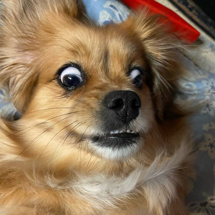 8c84c8b8 55c5 4e0a 8a92 38b118b4aaa4 1614290261788