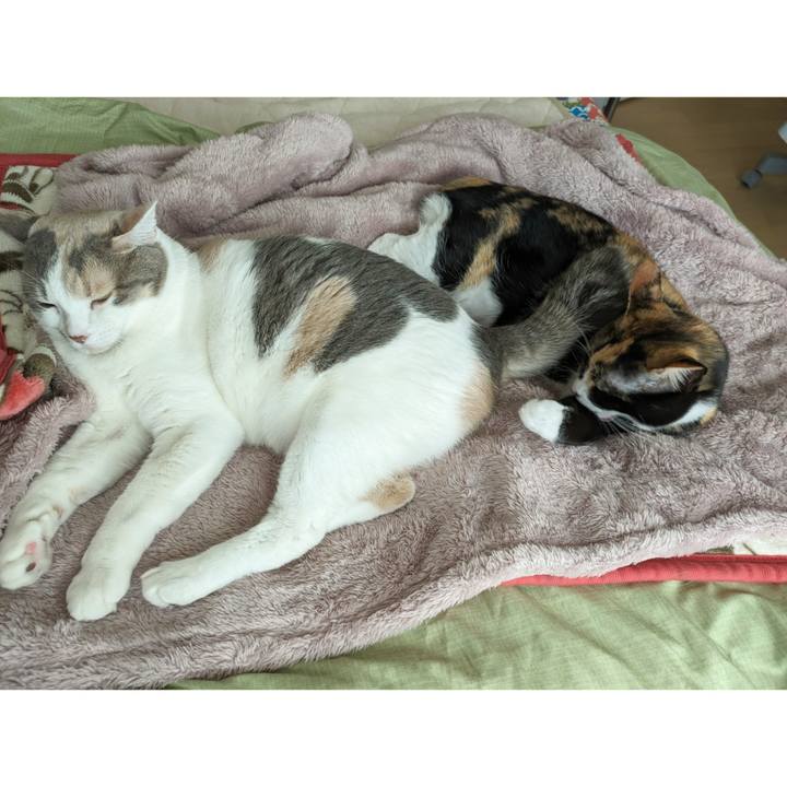 8c84d19e a665 45bb 91fd fd120ac005f6 1700380347175