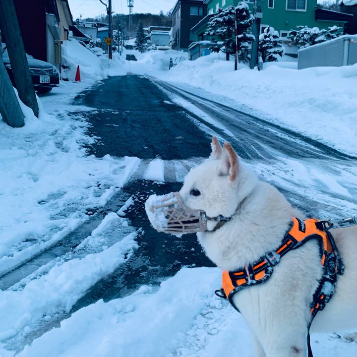 8c851eb9 3dcd 4825 ac7f a254917dd9cf 1674770894862