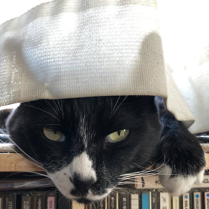 8c854c45 8447 40f3 9ac6 0787510353c4 1631072430155