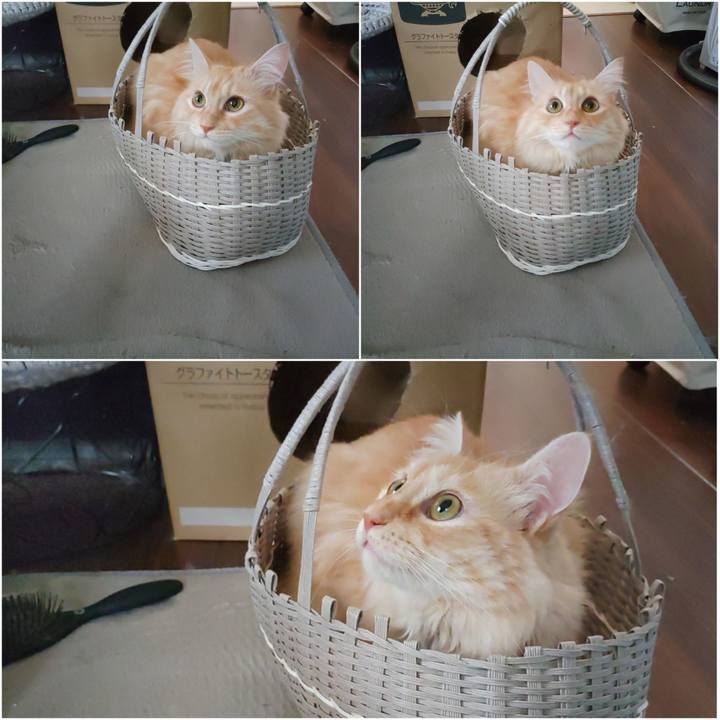 8c85635b 14e4 4352 b602 00dddf4625d2 1694523154691