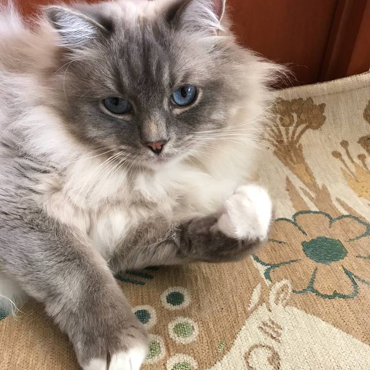 8c858d93 d1ee 4b54 a4a7 db7f35872e49 1518672896159