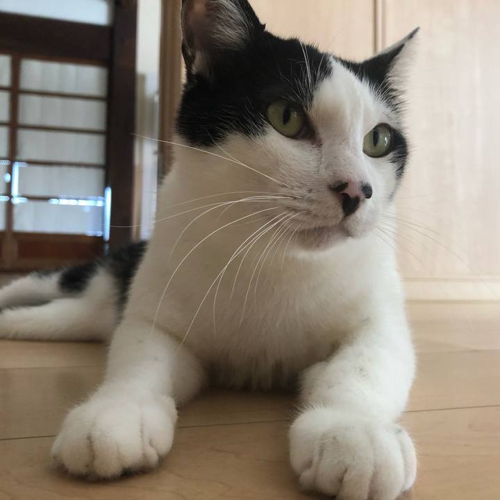 8c859196 a63b 45cb a507 7f60d6c2f4da 1564326266286