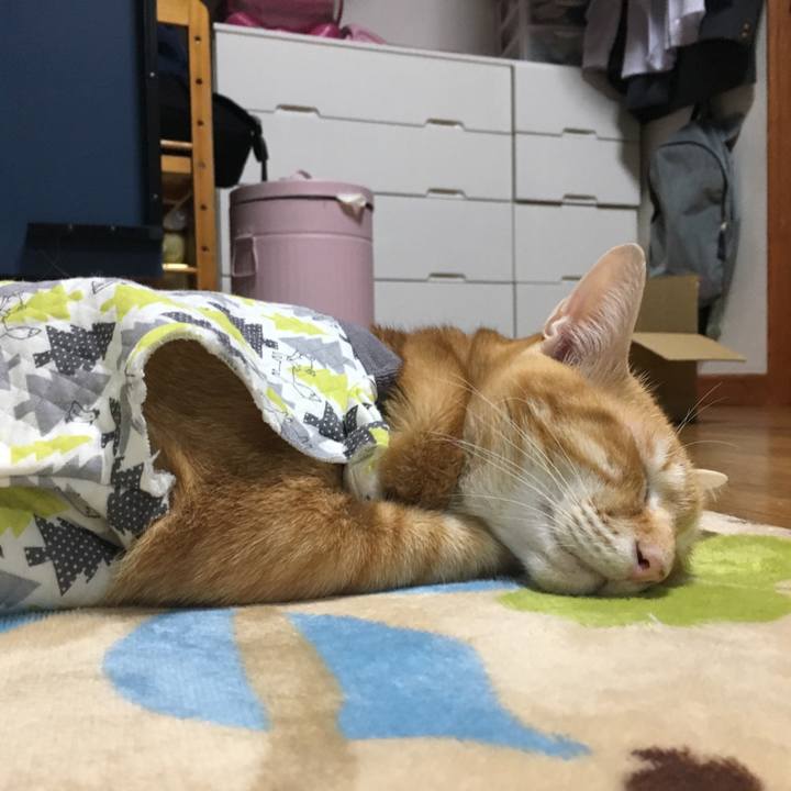 8c85b5a4 09be 4833 8b9a f006090aef88 1511002481309