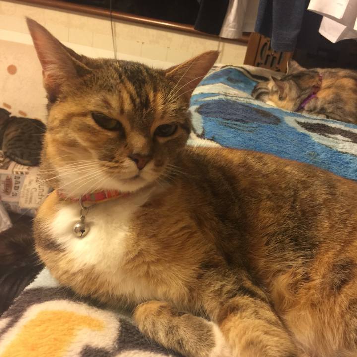 8c85cf22 f297 4d36 bb25 14680a91f845 1561301859017