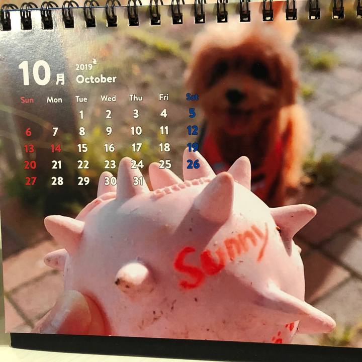 8c85cfe2 646b 4008 9546 39511efa7954 1570183905948