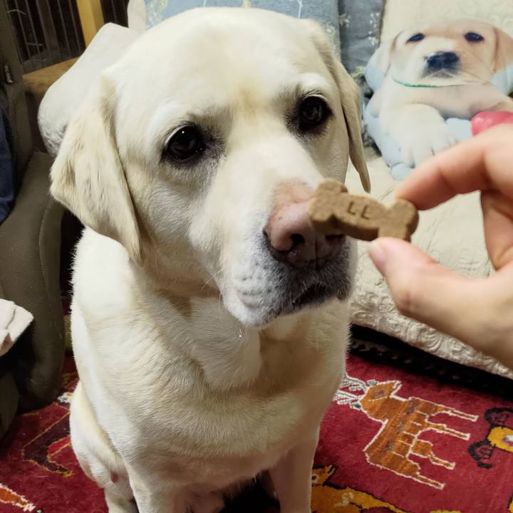 8c85d914 cde5 4b91 bf38 d30bae4a19c2 1678529905845