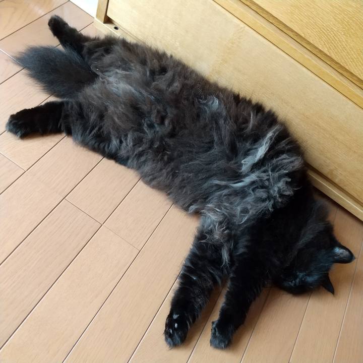 8c85e090 491a 484c 9743 c1abdff6e364 1594342319345