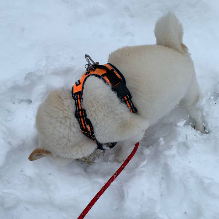 8c85edc2 ed9f 402a 82e2 69fb91d56d43 1637976914648