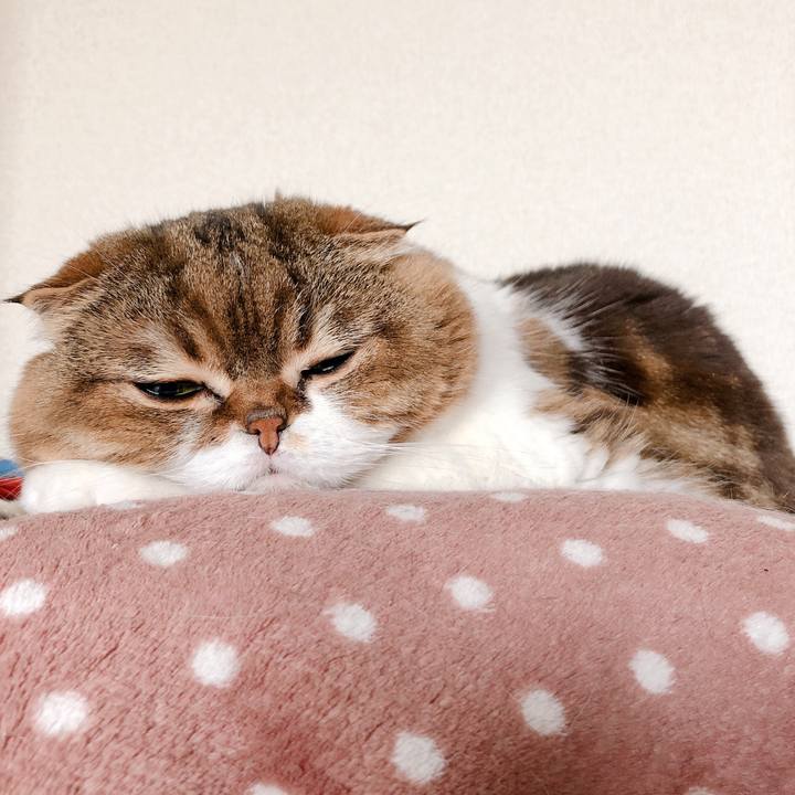 8c85f5c7 a213 42f0 8e4f aae268353015 1557183957301