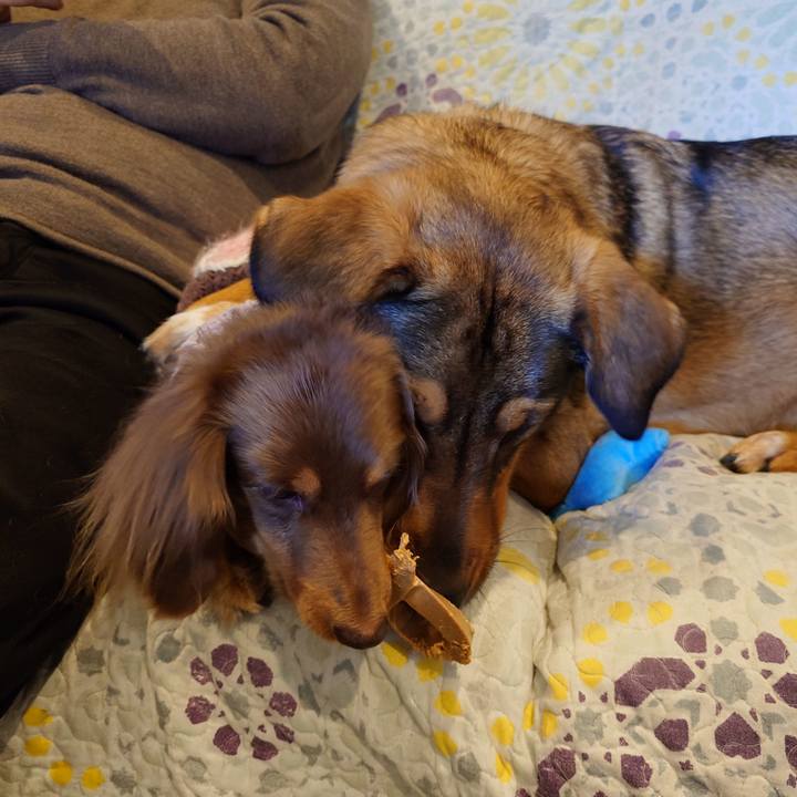 8c8602a5 ec84 4a2f 938f 3fa74de14eaa 1739838648738