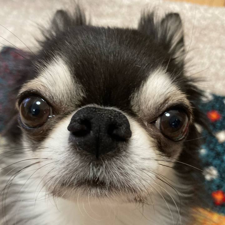 8c86285d 450c 4943 8644 6a202db44e89 1703977981191