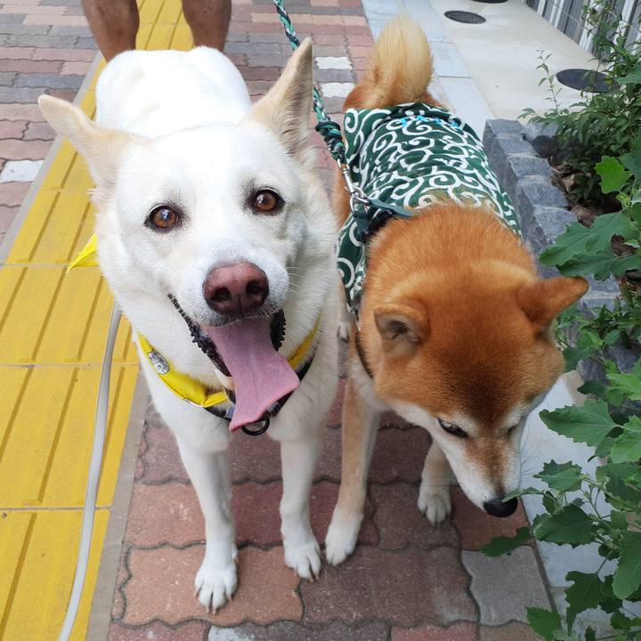 8c863b7a c010 47a3 9650 b76918cdf269 1690092271587