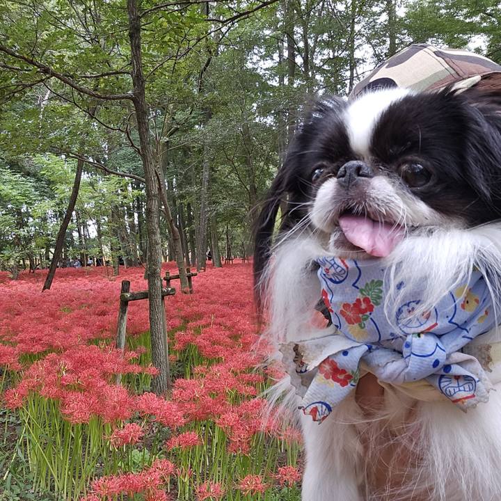 8c86465f 6d60 4cb6 91d5 24e4d2aad473 1727778642106