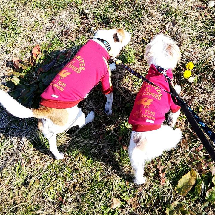 8c8652dd 591a 4951 95b5 5e3a069d1ffe 1547879186241