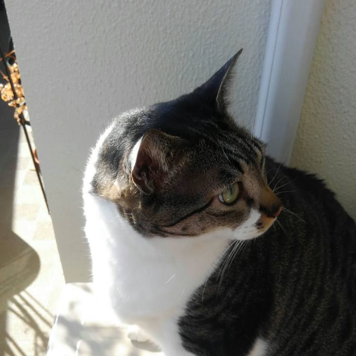 8c865a49 176b 450f aaae 691a8f56529b 1518651253438