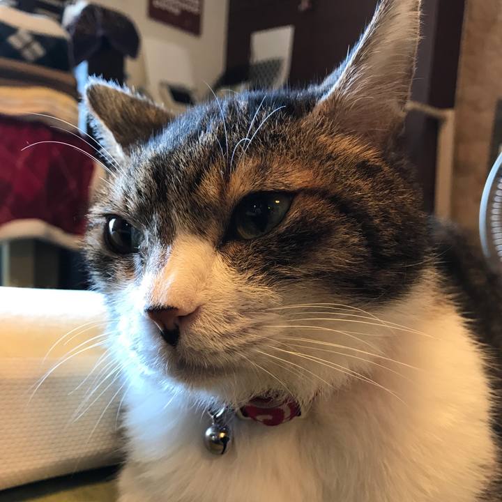 8c86a9a9 73a5 417e b3b2 4b0a4ad29709 1562398729920