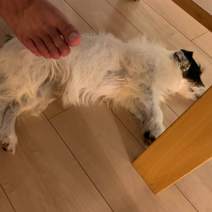 8c86b015 aca3 4ddb b7b1 366c1206650b 1595846211679